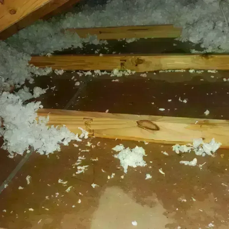 Attic Water Damage in Canton, MI