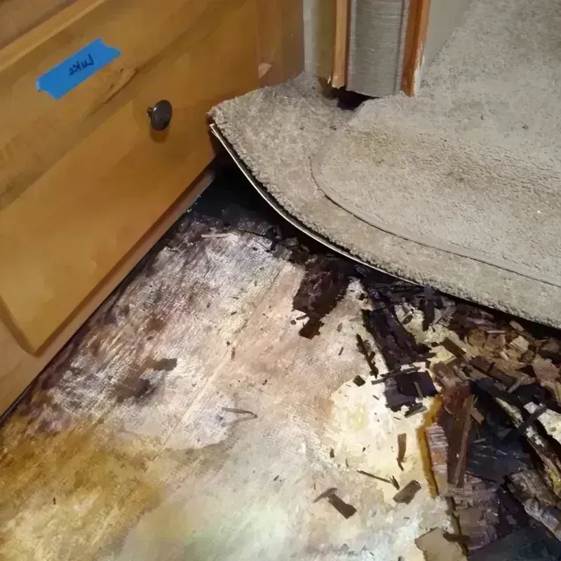 Wood Floor Water Damage in Canton, MI